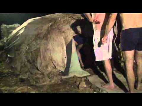 הסוד הוא לשלב בין הגבר הצייד לגבר הרגיש